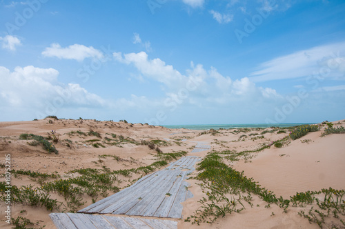 Sand dunes near the Sea
