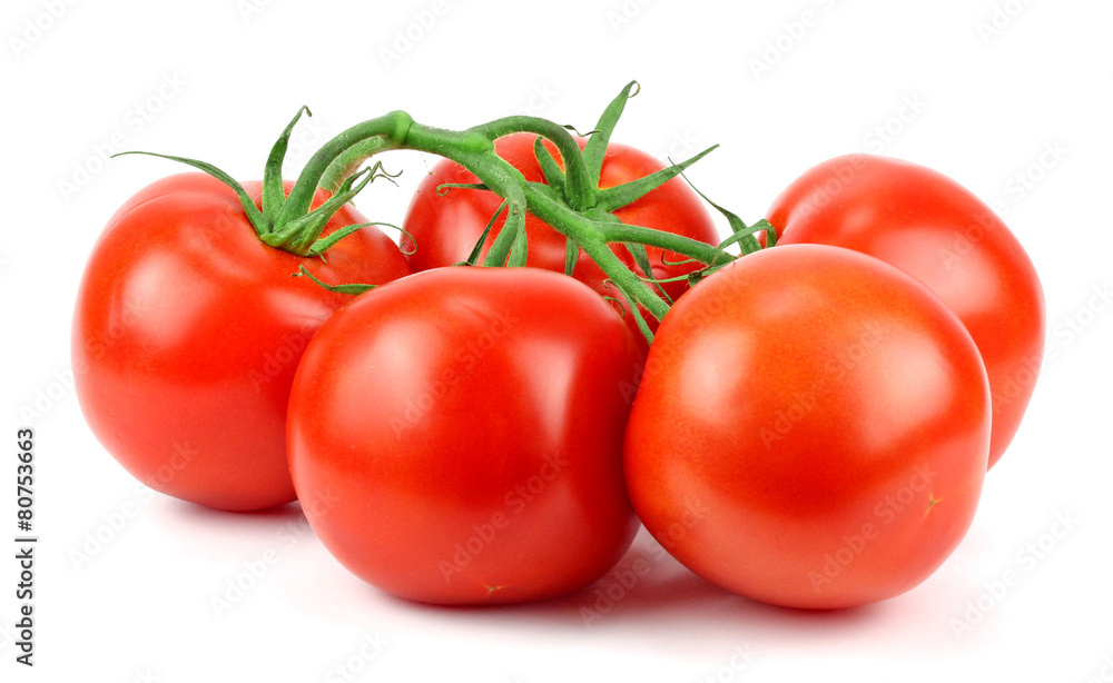 Closeup of tomatoes on the vine isolated on white Closeup of tomatoes on the vine isolated on white