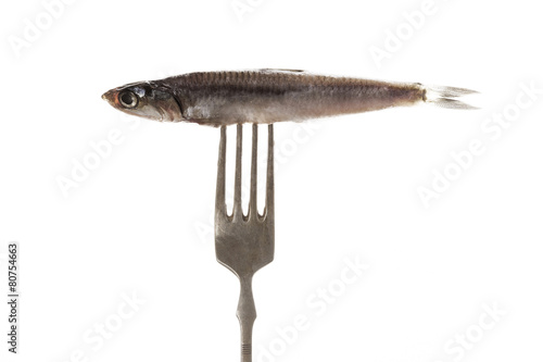 Canvas Print Fresh fish on fork.