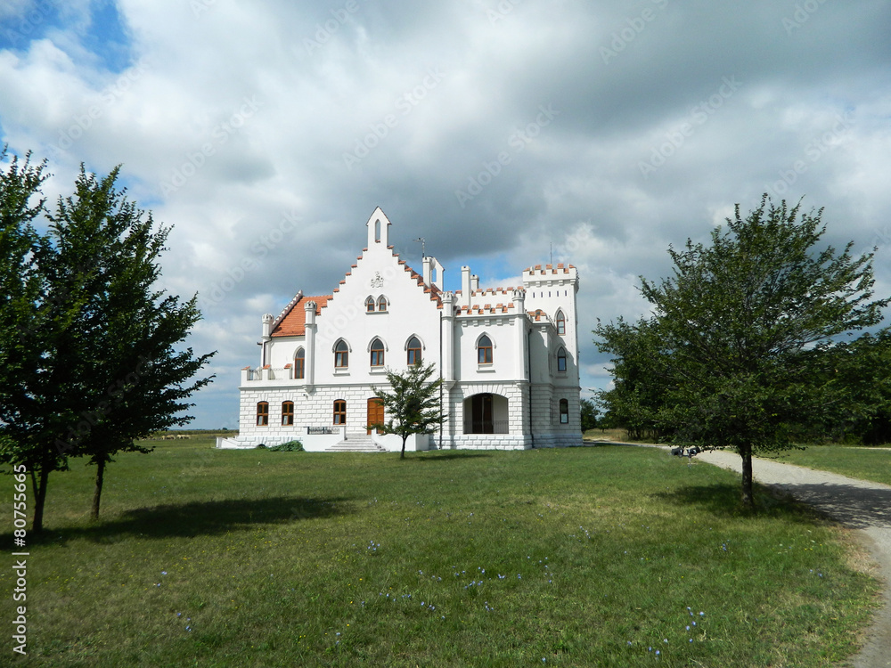 Castle Kapetanovo - Captain's Castle Kapetanovo - Captain's