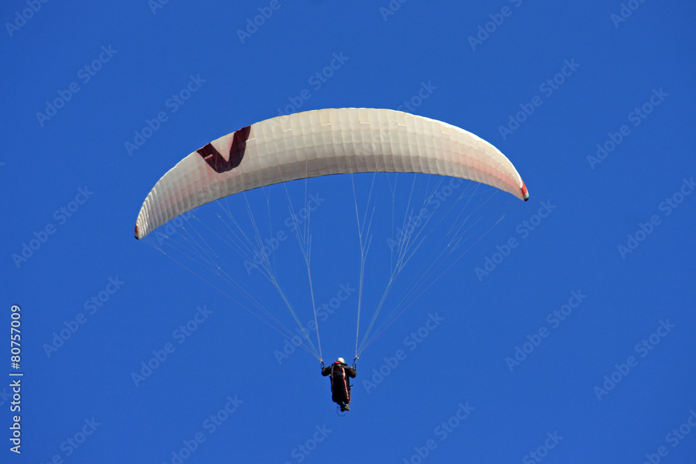 paraglider