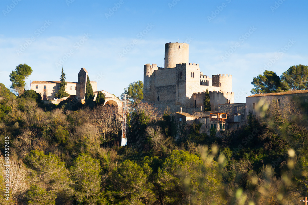 View of Castle at Castellet