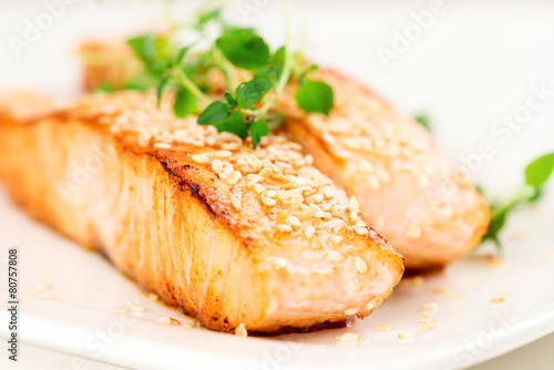 Grilled salmon on white plate macro