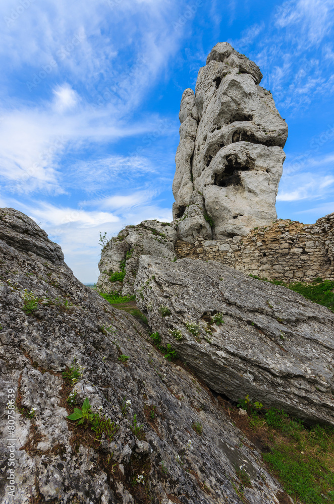 Limestone rocks in spring landscape of Poland near Ogrodzieniec Limestone rocks in spring landscape of Poland near Ogrodzieniec