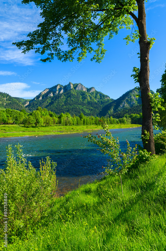 Dunajec river in spring landscape of Pieniny Mountains, Poland