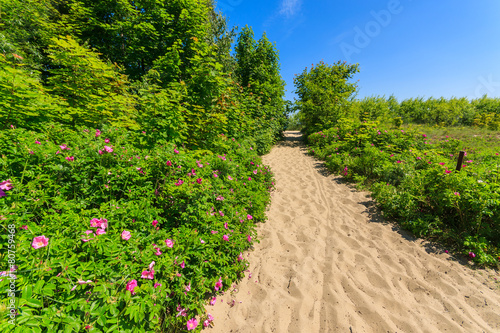 Path to sandy beach in Sopot town, Baltic Sea, Poland