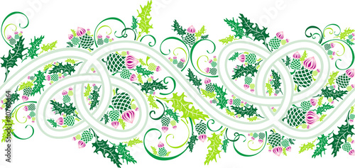 border with celtic ornament and flowers thistle