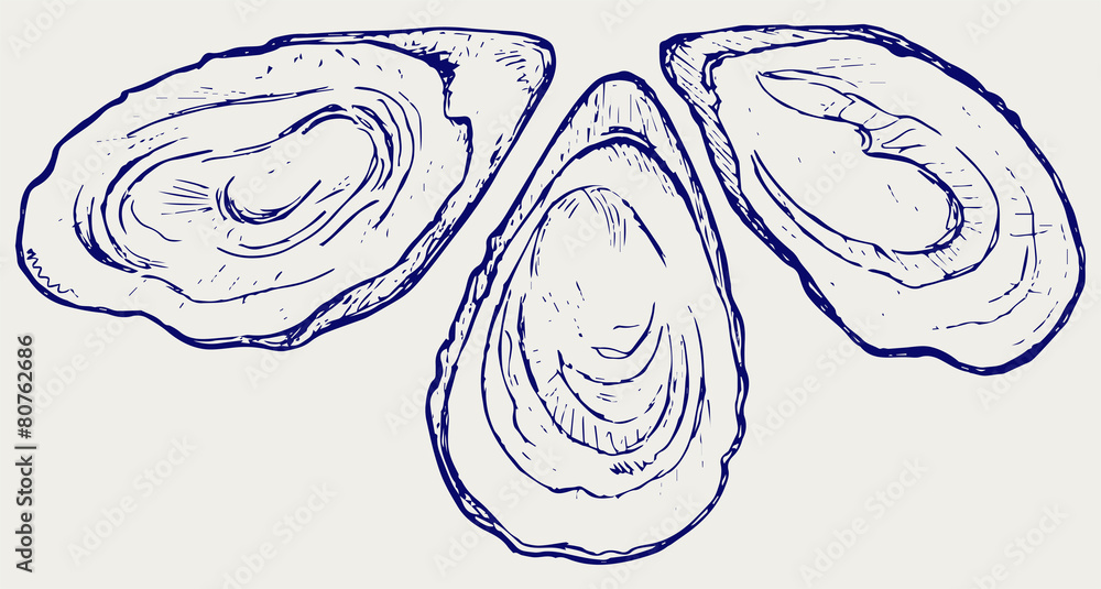 Fotografija Fresh opened oyster. Doodle style