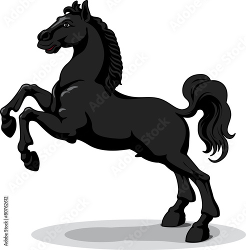 black horse - vector, isolated