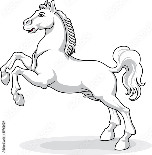 whitw horse - vector, isolated
