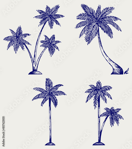 Silhouette of palm trees. Doodle style