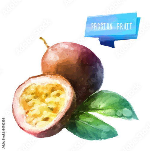 Passion fruit hand drawn watercolor, on a white background.