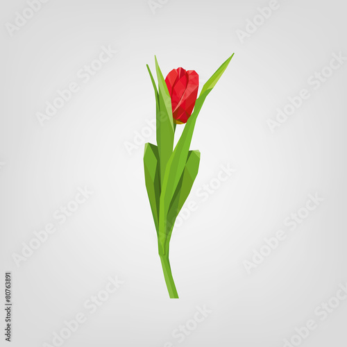 Fototapeta Naklejka Na Ścianę i Meble -  Polygonal flower tulip. Logo design.