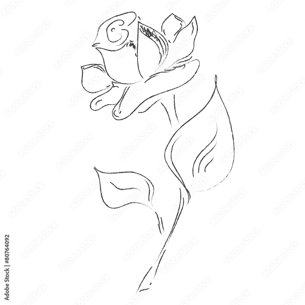 flower, hand, drawings, sketch, decorative, vector, illustration