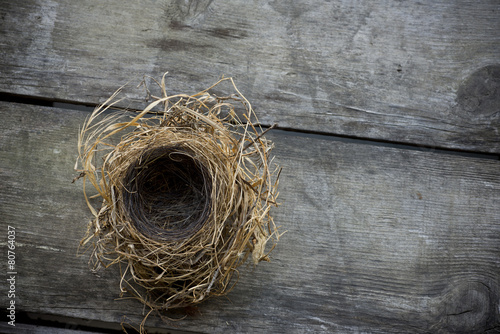 Empty bird nest