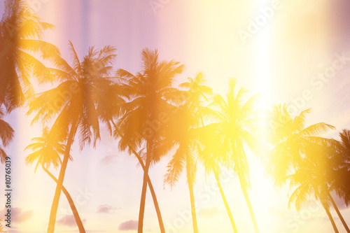Palm trees on tropical shore at sunset, stylized light leaks © nevodka.com