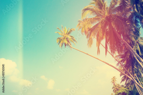 Vintage stylized tropical palm trees on the shore © nevodka.com