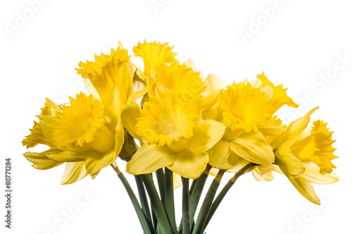 Bouquet of yellow daffodil flowers