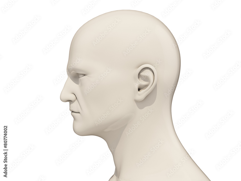 Human head isolated Human head isolated
