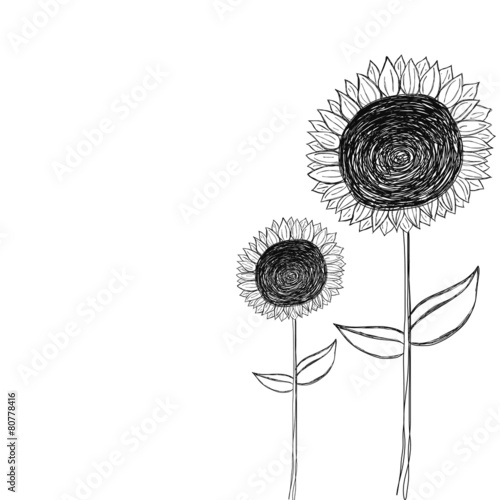 Fototapeta Naklejka Na Ścianę i Meble -  black and white sunflower doodle vector