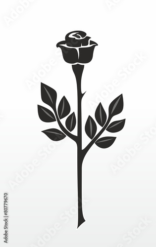 rose3003a