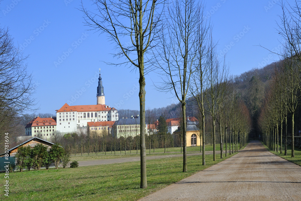 Fototapeta premium Burg Weesenstein