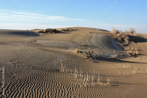 désert de Maranjab, Iran photo