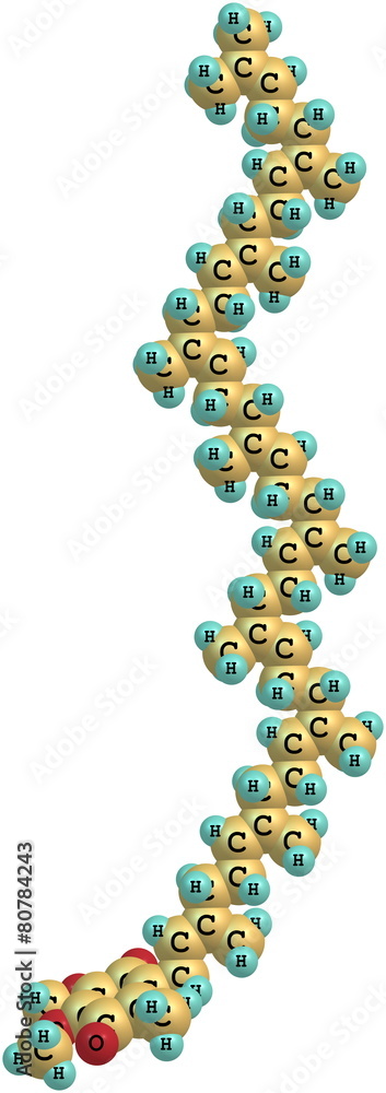 Ubiquinone molecule isolated on white Ubiquinone molecule isolated on white