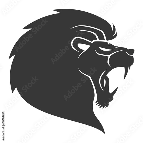 Fototapeta Naklejka Na Ścianę i Meble -  Vector sign. Lions.