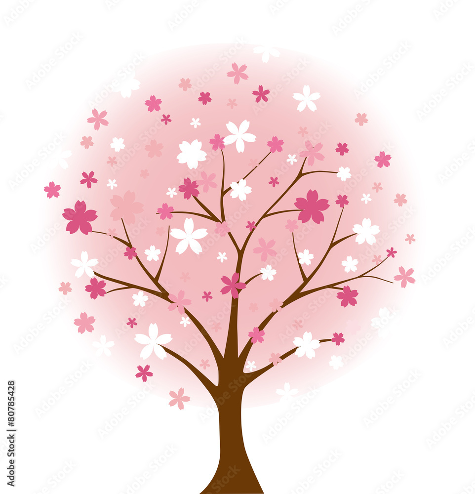 桜、春、木、sakura tree