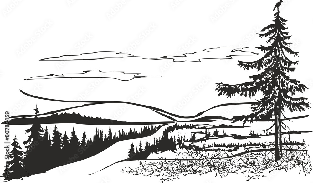 Fototapeta premium Northern landscape with crow.