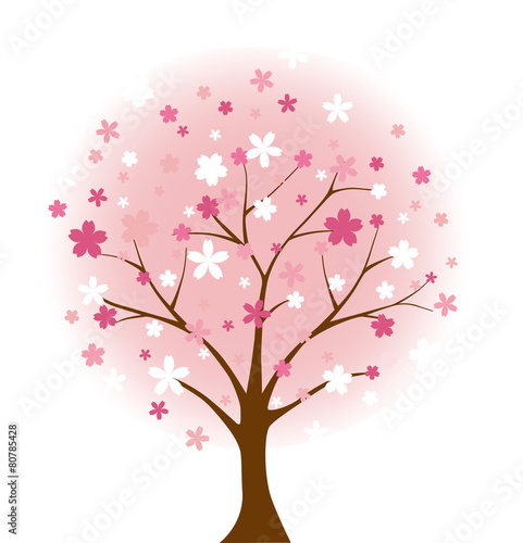                   sakura tree