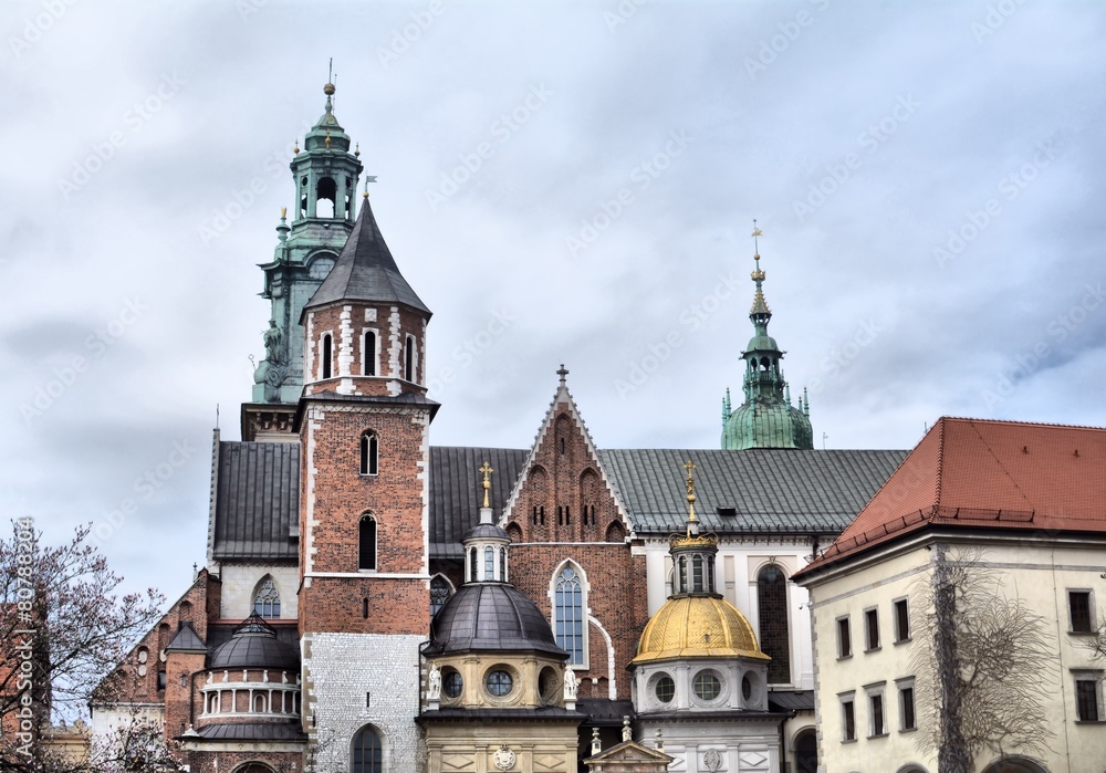 Fototapeta premium Wawel castle