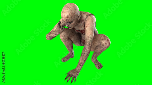 Walking dead zombie woman isolated on green screen photo