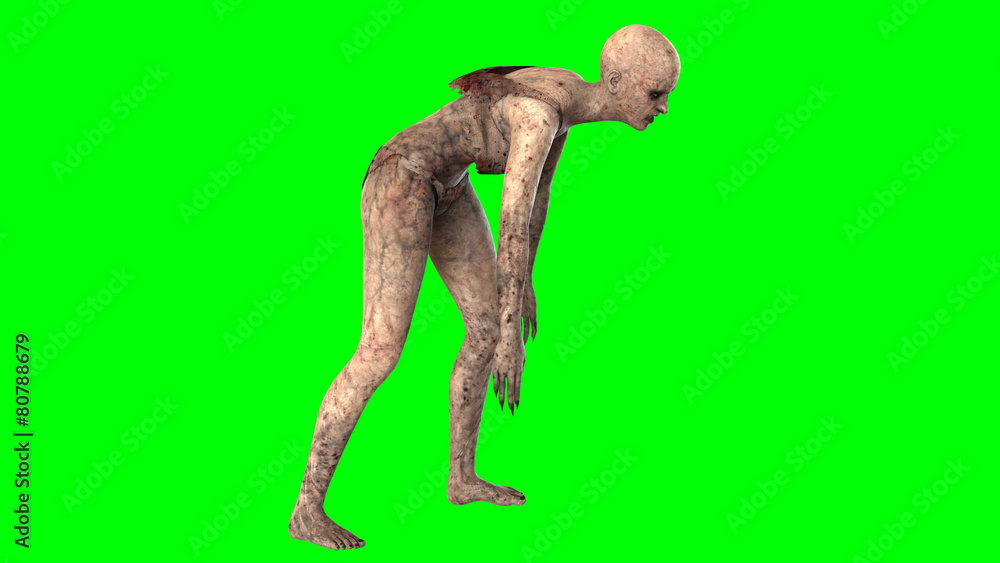 Fototapeta premium Walking dead zombie woman isolated on green screen