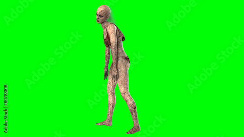 Walking dead zombie woman isolated on green screen