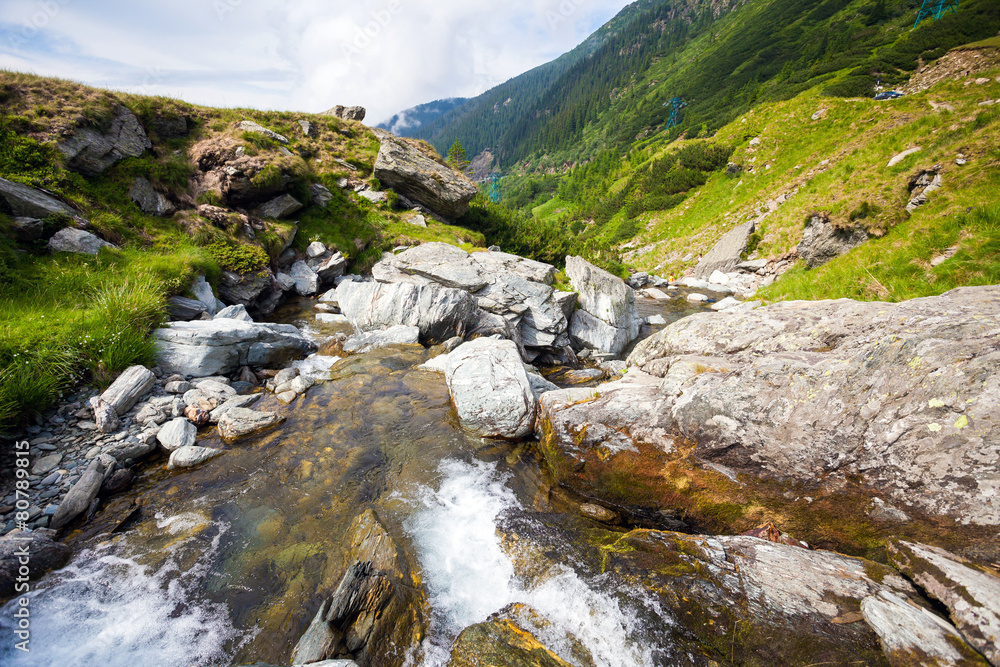 Forest stream surrounded by vegetation running over rocks Forest stream surrounded by vegetation running over rocks