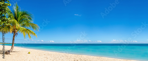 Exotic beach with gold sand, coconut palm tree and deep blue sky