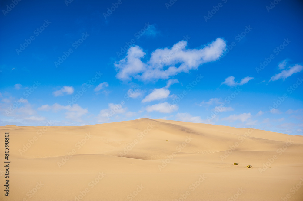 Deserto della Namibia, Africa