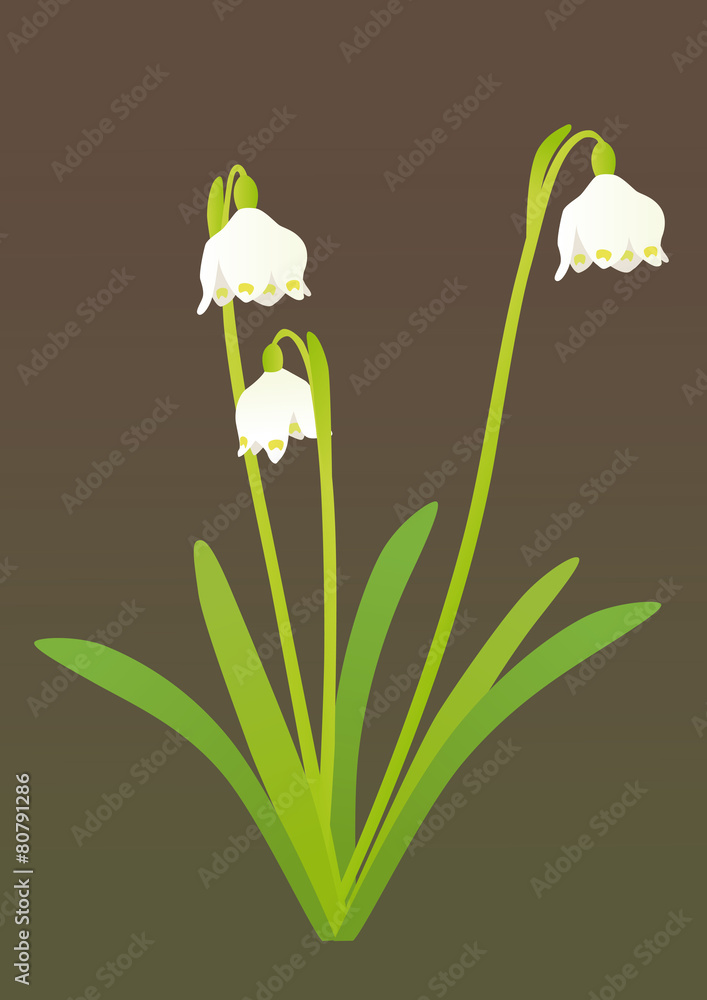 Naklejka premium Spring snowflake