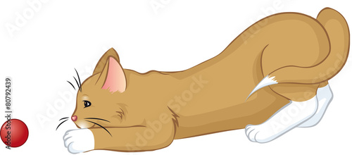 lauernde Katze