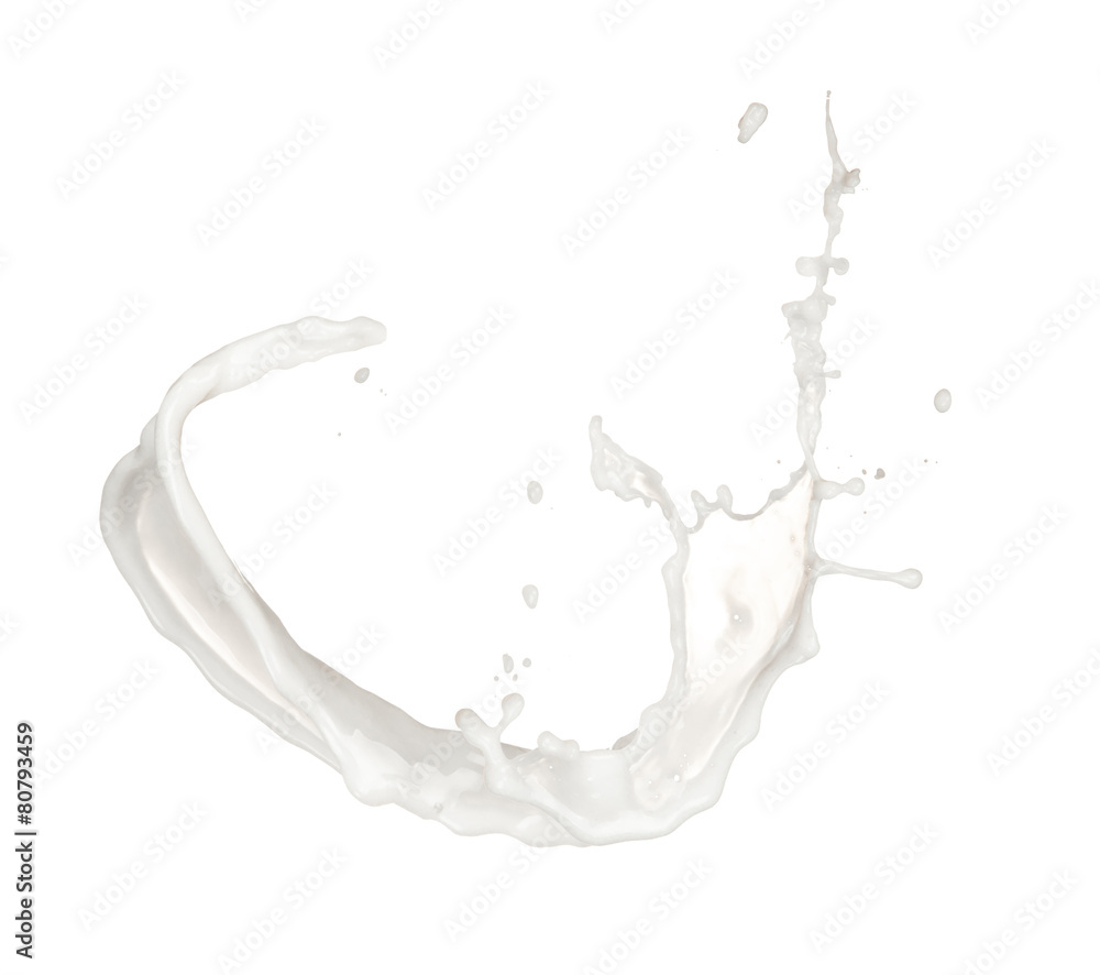 milk splash isolated on white background milk splash isolated on white background
