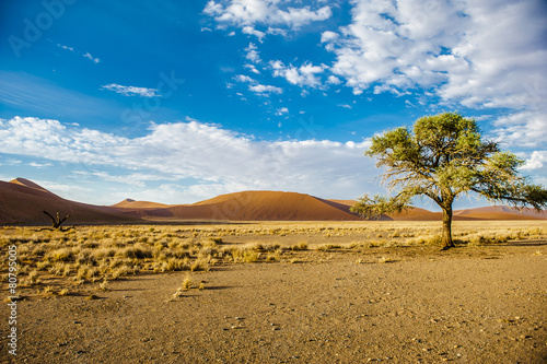 Sossusvlei, Namibia, Africa
