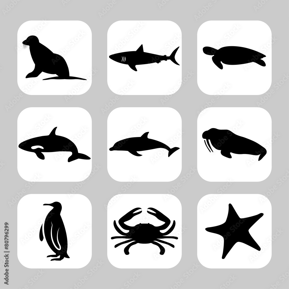 Obraz premium Maritime animals icon set