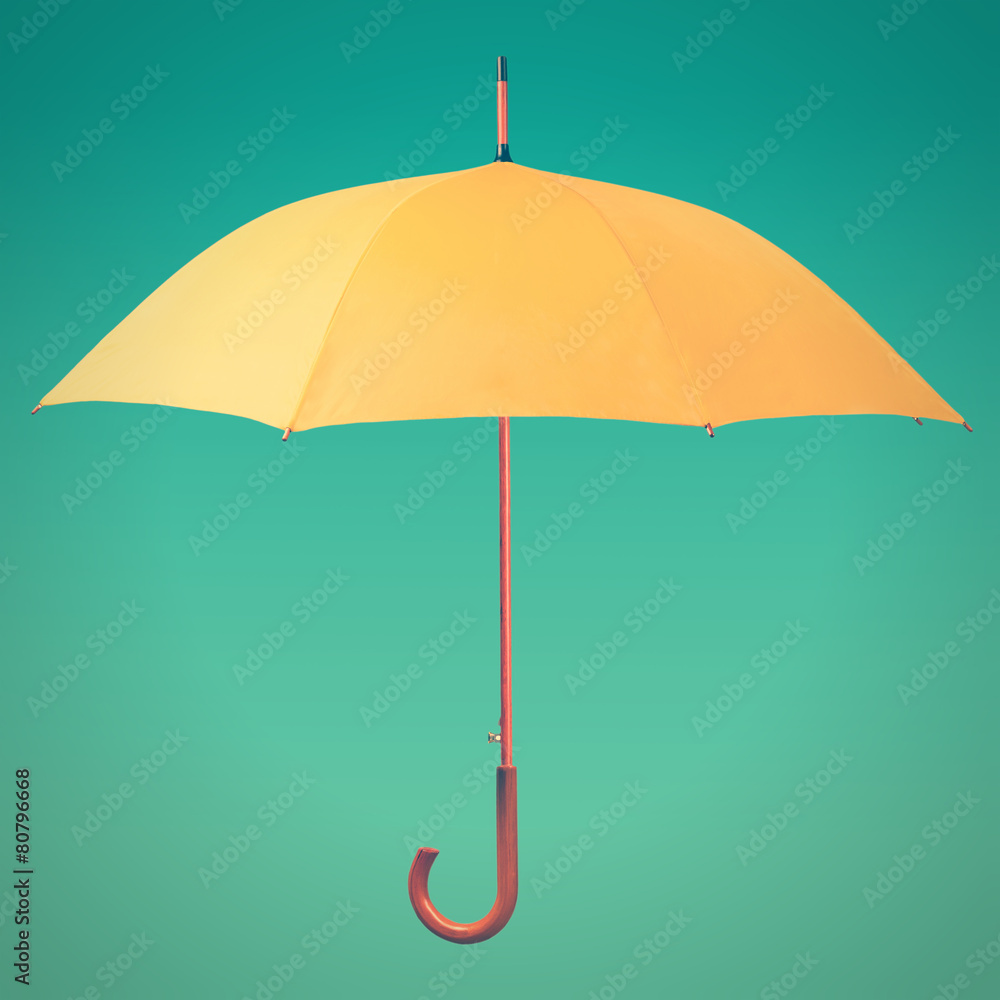 Umbrella Umbrella