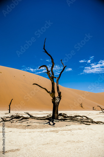 Deadvlei  Sossusvlei Namibia