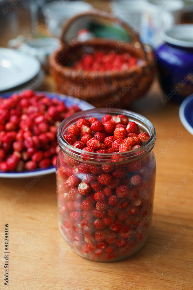 wild strawberries wild strawberries