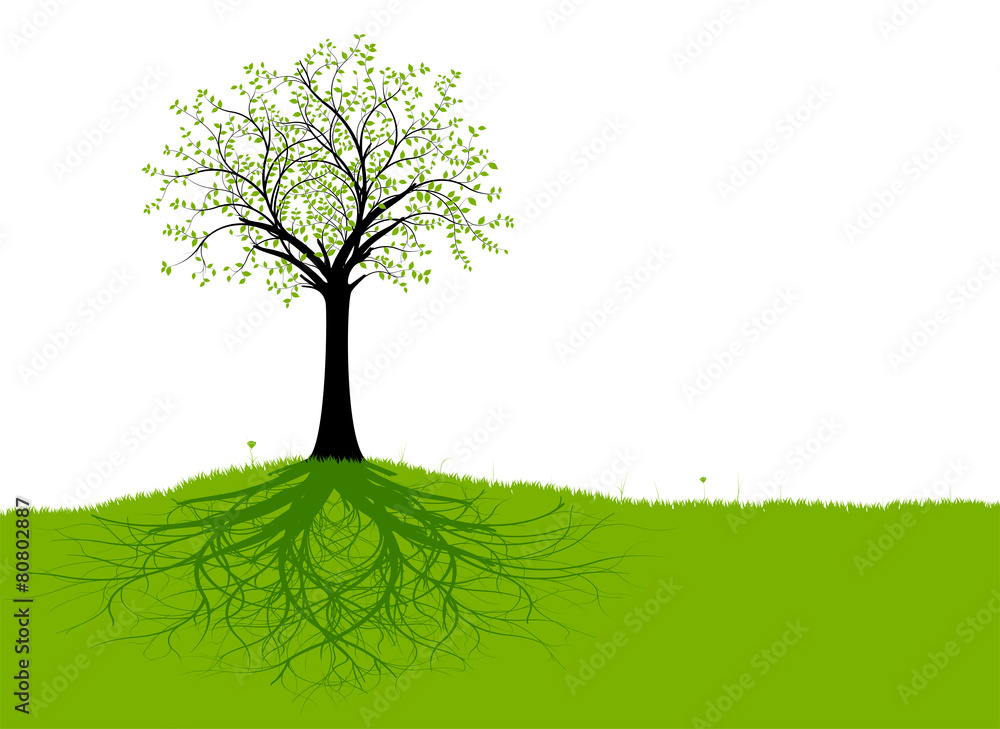 Obraz premium Vector Tree and Roots