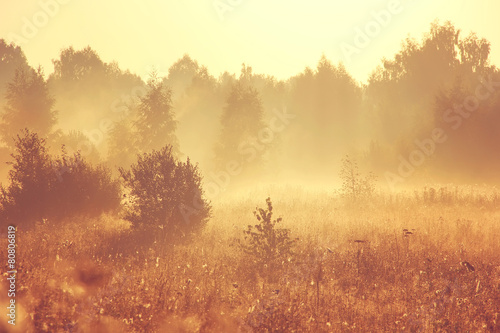 золотистый летний рассвет с туманом © MaskaRad