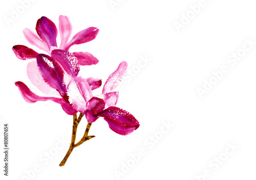 Vector background with red watercolor magnolia